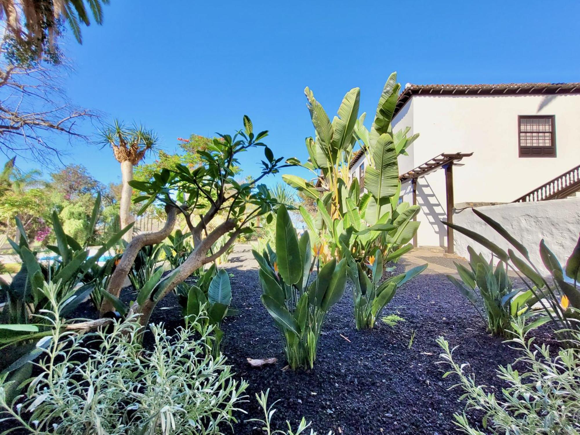 Hacienda La Vizcaina Διαμέρισμα La Orotava Εξωτερικό φωτογραφία